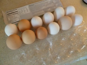 sanctuary eggs