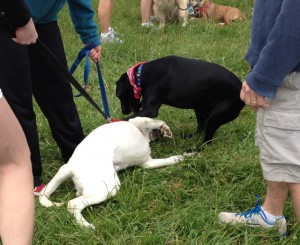 A couple of runners not taking the race very seriously